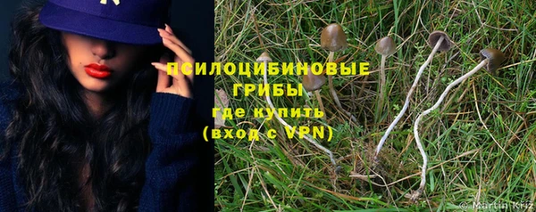 МДПВ Богданович
