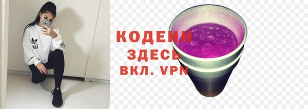 дмт Богородск