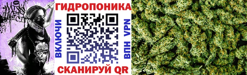 МАРИХУАНА ГИДРОПОН  как найти   Вуктыл 